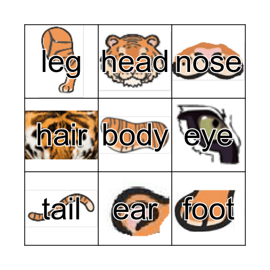 Body parts Bingo Card