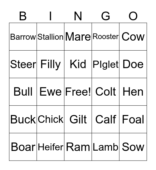 Farm Animal Terms Bingo Card