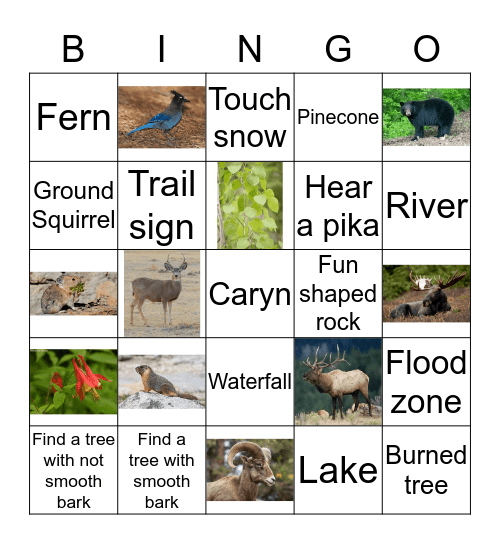 Rocky Mountain National Park Bingo Card