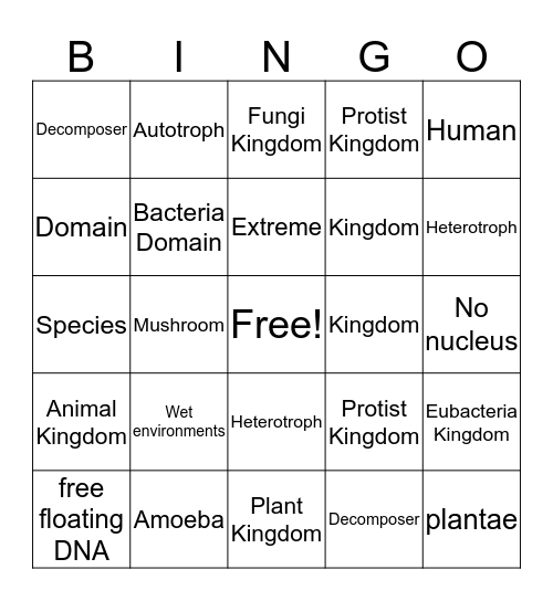 Saidu conteh Bingo Card