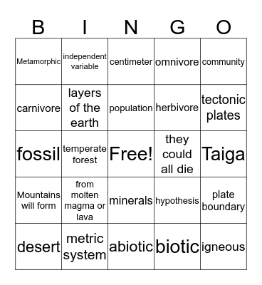 Science Final Exam Bingo Card