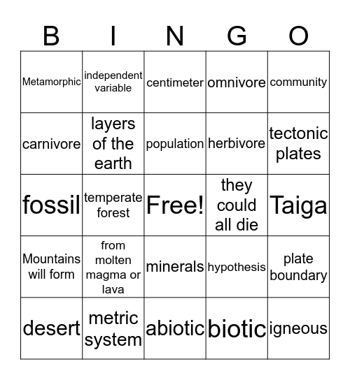 Science Final Exam Bingo Card