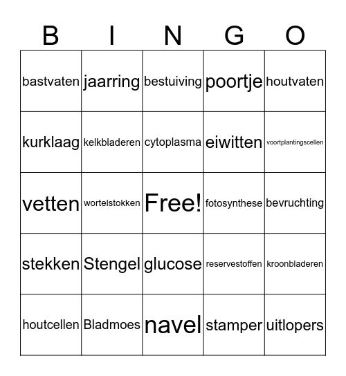 Planten Bingo Card
