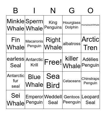 Antarctica's Animals  Bingo Card
