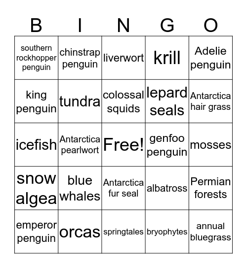 Antarctica Bingo Card
