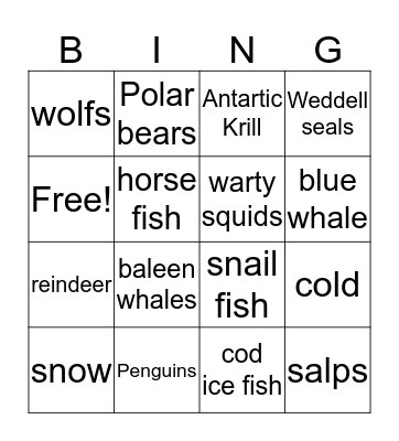 Antarctica Bingo Card
