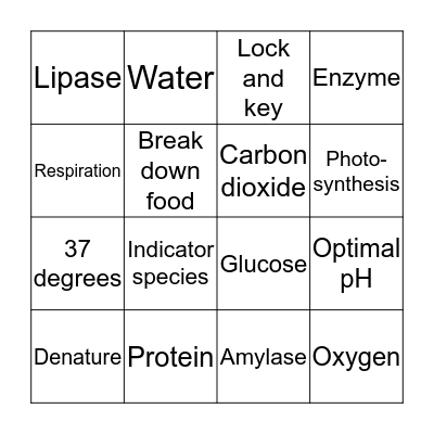 Biology revision Bingo Card