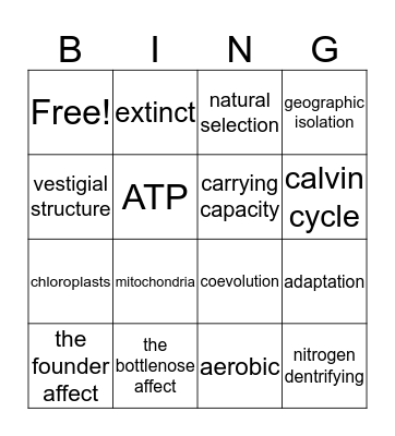 Evolution and Ecology A Bingo Card