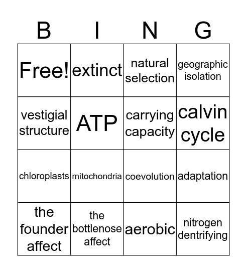 Evolution and Ecology A Bingo Card