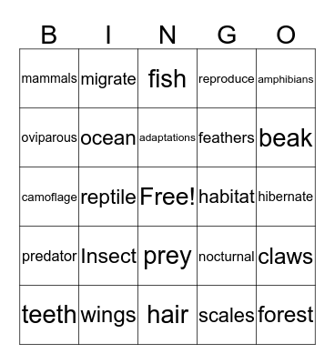 Animals Bingo Card