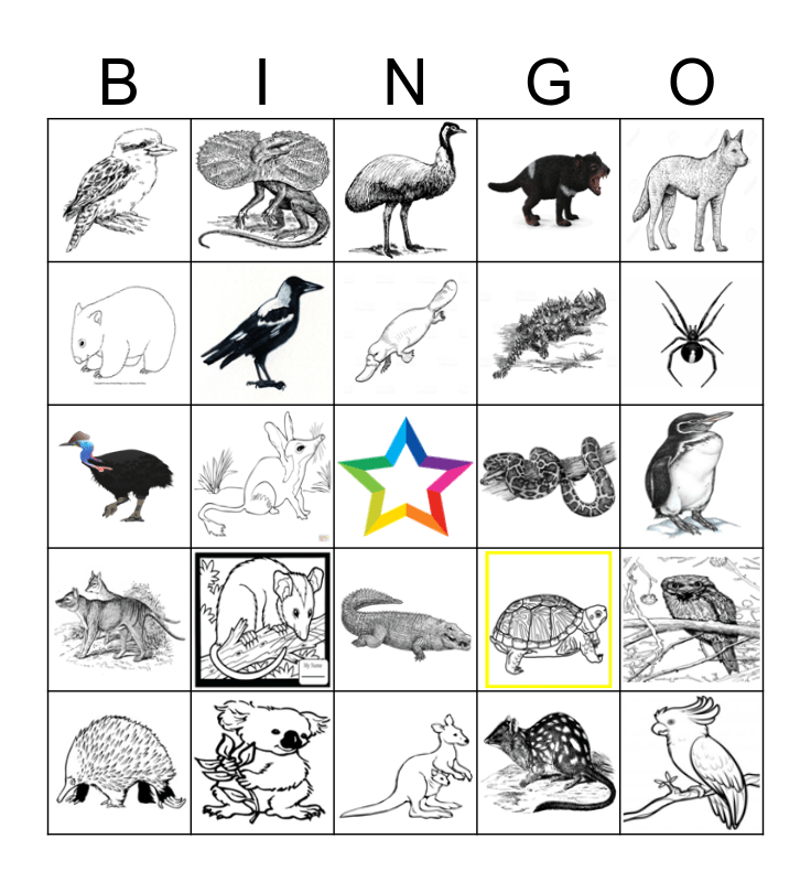 Australian animal (b&w) Bingo Card