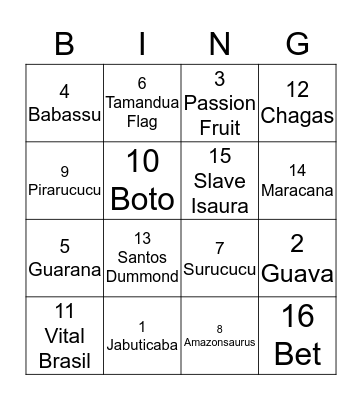 Bingo Brazil Bingo Card