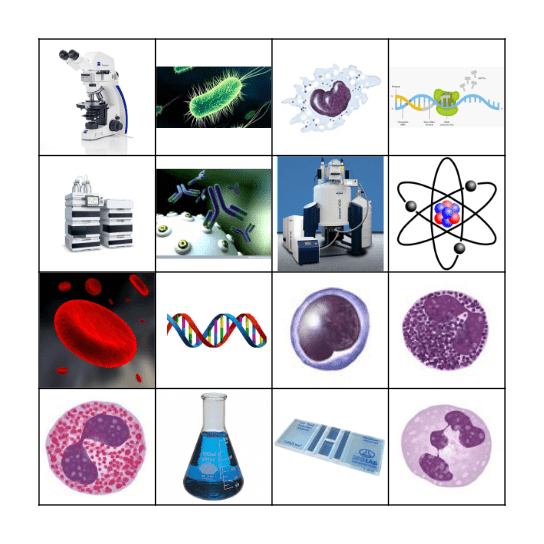 Lotería Química  Bingo Card