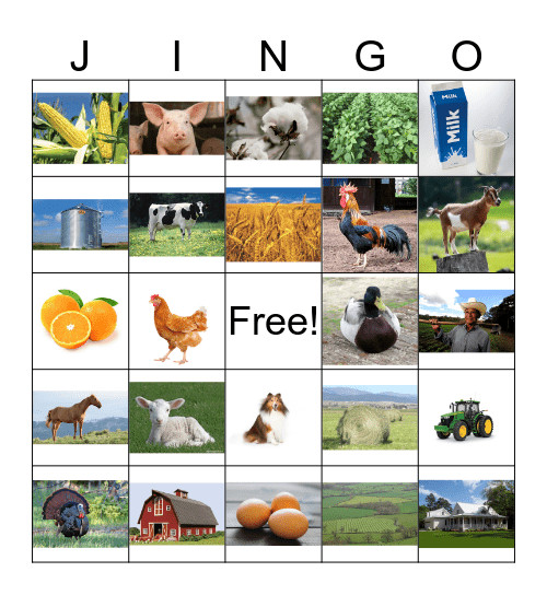 Fun on the Farm Bingo Card