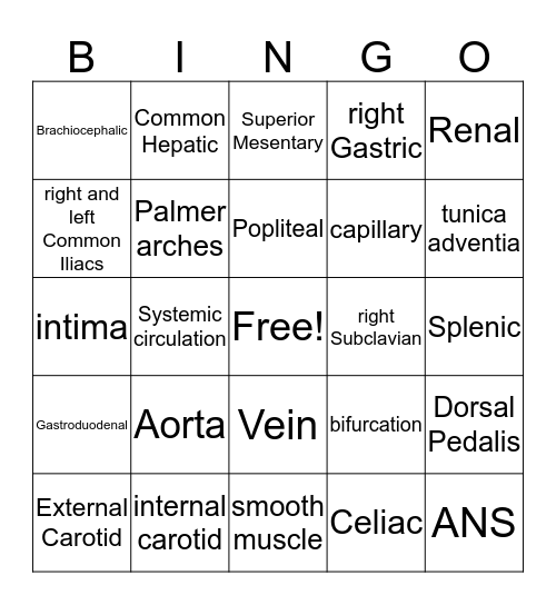 Peripheral Vascular anatomy Bingo Card