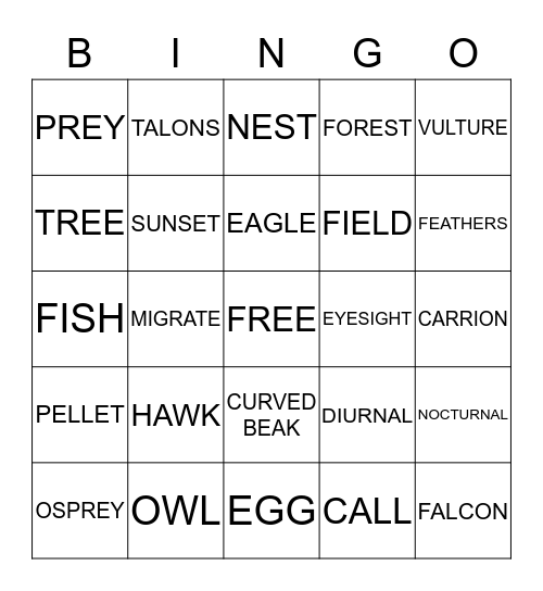 RAPTOR  Bingo Card