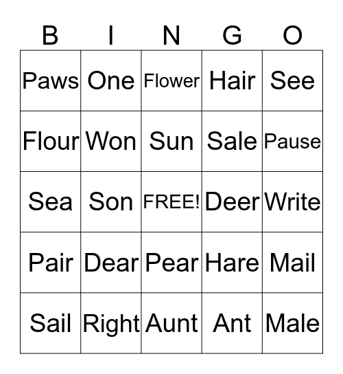 Homophones Bingo Card