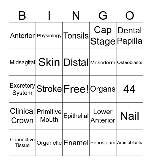 Ch. 6,7, and 8 Bingo Card