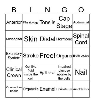 Ch. 6,7, and 8 Bingo Card