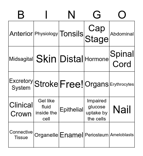 Ch. 6,7, and 8 Bingo Card