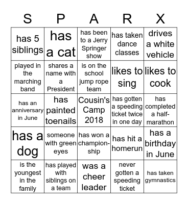 Sparks Family Reunion Camparaderie Day Bingo Card