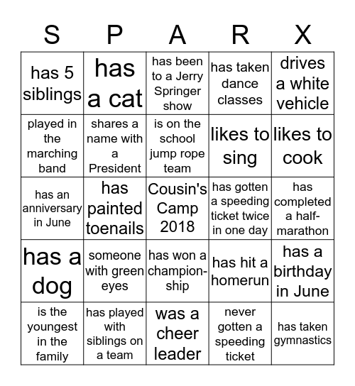Sparks Family Reunion Camparaderie Day Bingo Card