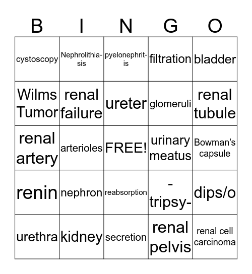 The Urinary System Bingo Card