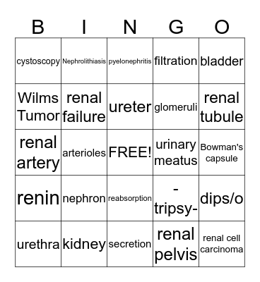 The Urinary System Bingo Card