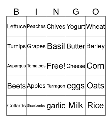 Food Group bingo Card