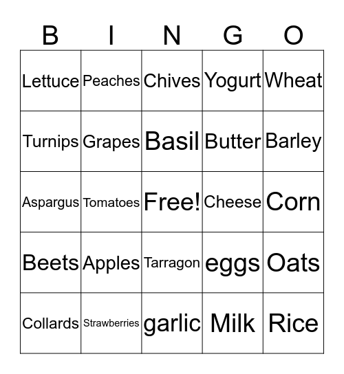 Food Group bingo Card