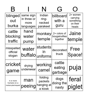 Indian Road Trip Bingo Card