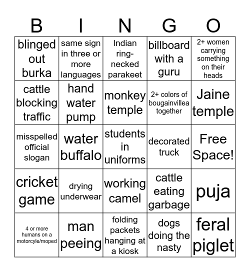 Indian Road Trip Bingo Card