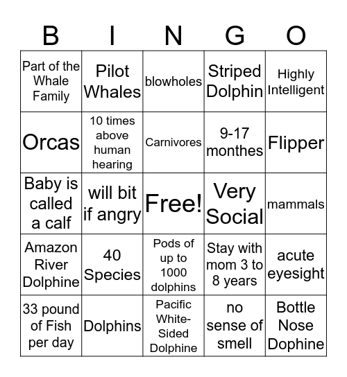 Dolphins Bingo Card