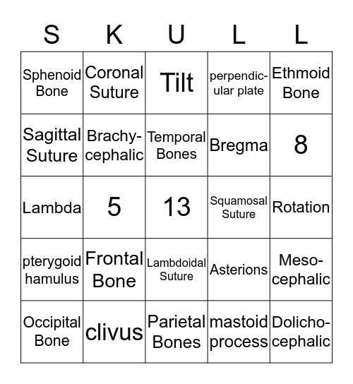 Skull Anatomy and Positioning Bingo Card