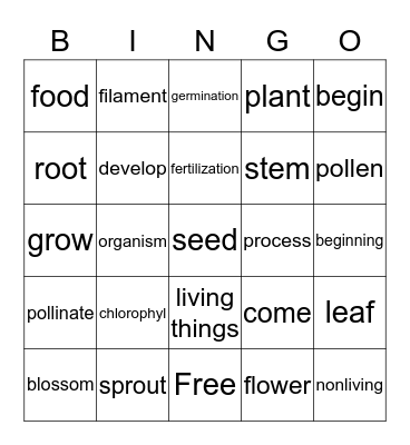 Plants and Plant Cycle Bingo Card