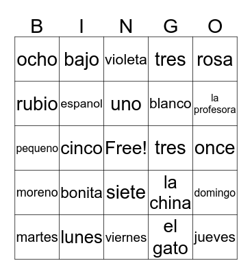 Spanish Bingo Card