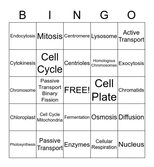 Cell Processes Bingo Card