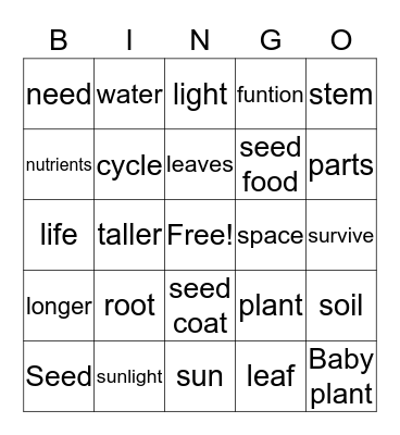 Plants and Plant Cycle Bingo Card