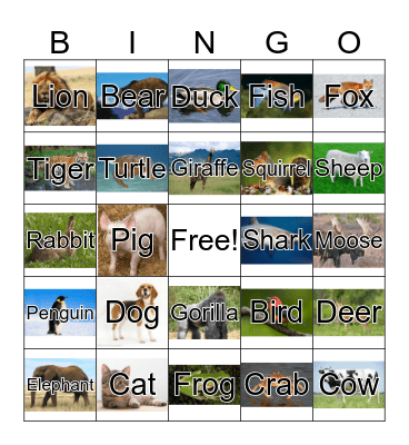Animal Bingo Card