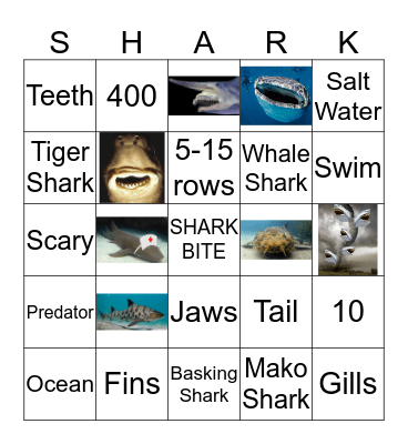 Shark Day Bingo Card