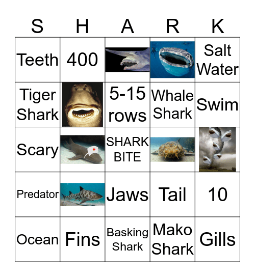 Shark Day Bingo Card