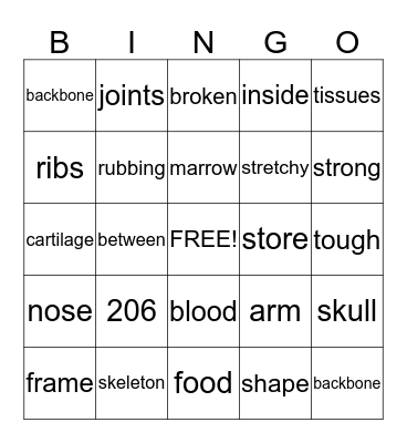 Skeletal System Bingo Card
