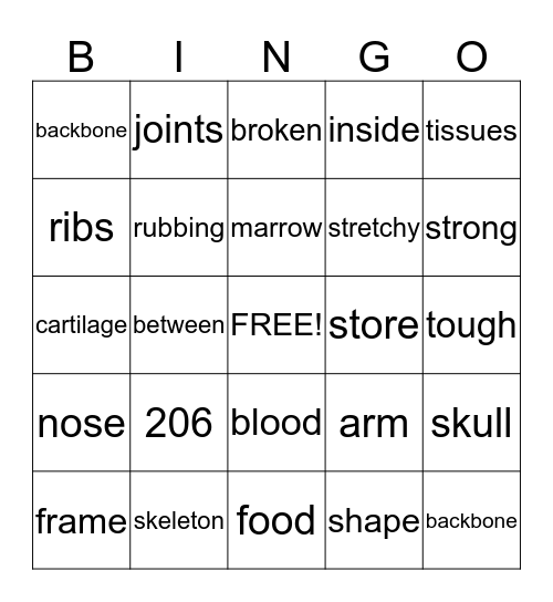 Skeletal System Bingo Card