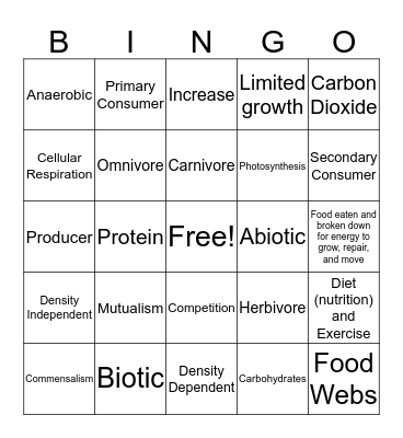 Science Bingo Card