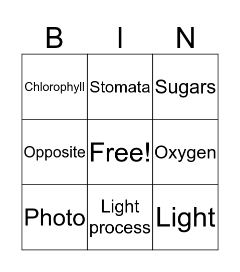 Photosynthesis Bingo Card