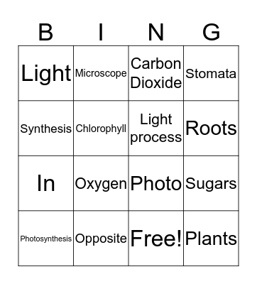 Photosynthesis Bingo Card