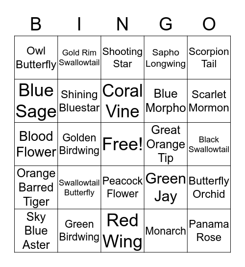 Bingo with Butterflies! Bingo Card