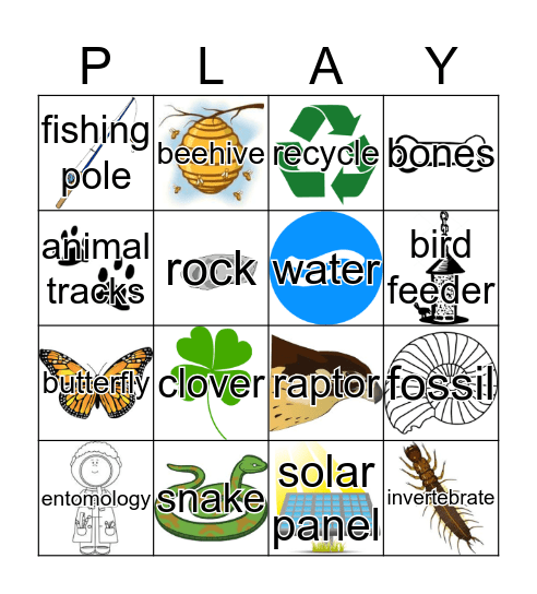 Family Nature Day Bingo Card