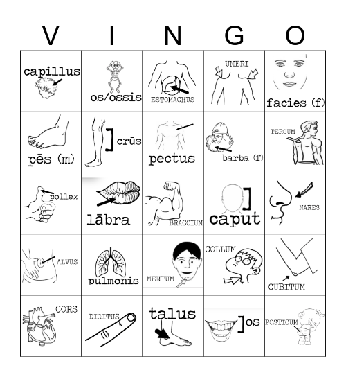 CORPUS Bingo Card