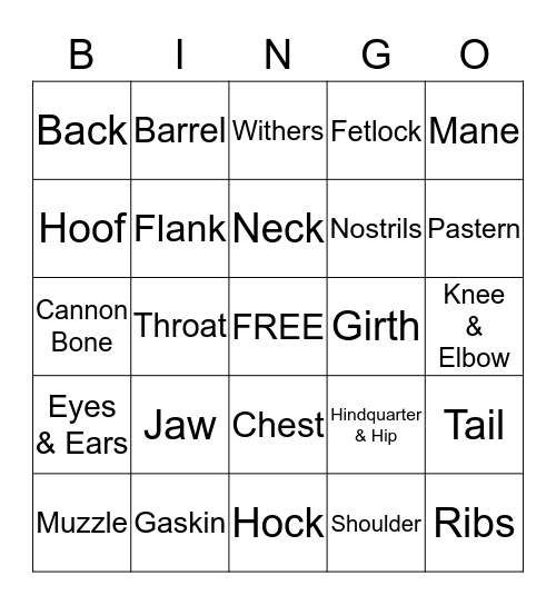 Parts of Horse Bingo Card